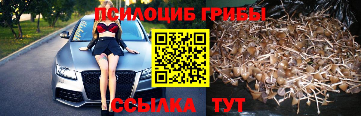 продажа наркотиков  Вход с VPN  Борисоглебск  Галлюциногенные грибы мицелий 