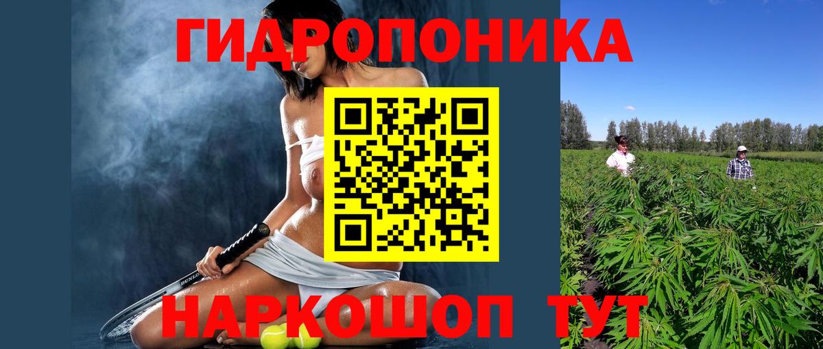 Каннабис индика  Вход с VPN  Борисоглебск  Бошки марихуана Ganja 